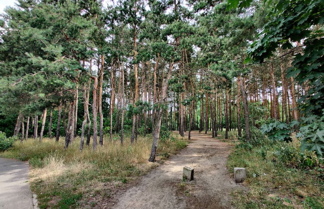 Apartment for 3 Guests Warsaw by Renters - Foto 33