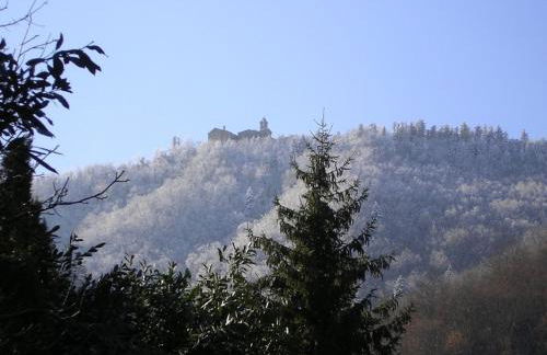 Villa Porcigliano Olive Grove - Foto 62