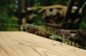 Domki na Górniej Łące - Domek Górny - Foto 51