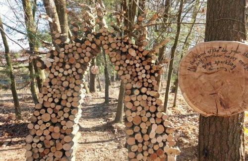 Old Oak House with pool - Foto 22