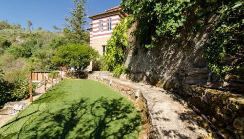 Chalet Monchique - Foto 5, Garden