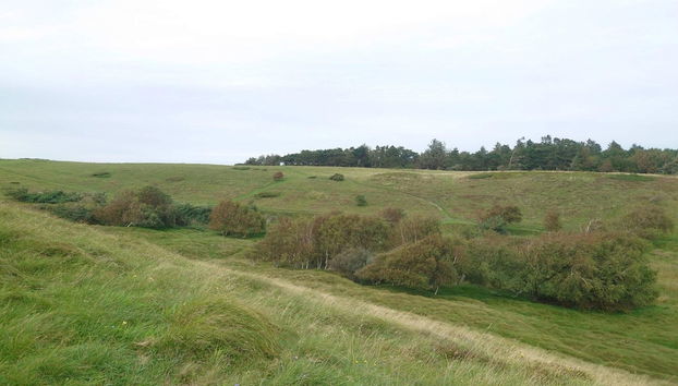 Tranquil Retreat in Rageleje-by Traum - Foto 4, Miscelánea