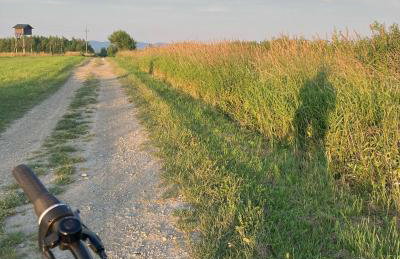 Stasiówka Gospodarstwo Agroturystyczne - Foto 22