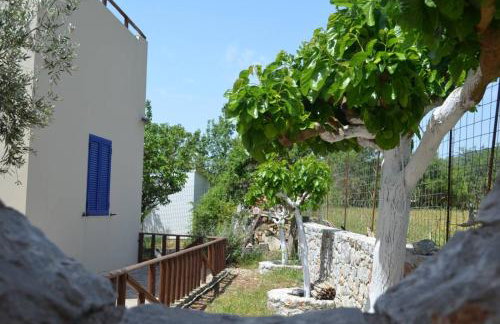 Xenonas Anopolis 2 - Foto 49