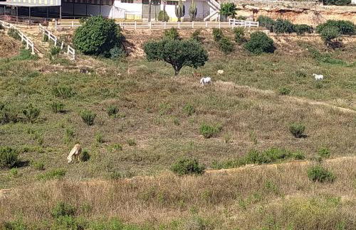 3 BDR House near La Zenia PRIVATE lounge terraces, fire places, BBQ, kitchen, parking - Foto 63