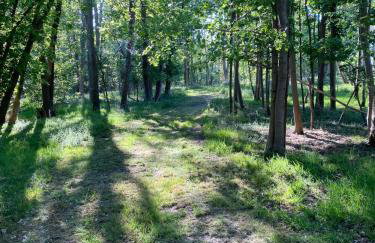 Paddock View - Snetterton Norfolk - Foto 17