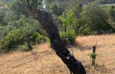 Villa Mattia - Photo 11