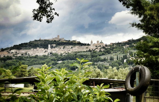 Agriturismo Casa Greppo - Il Noce - Foto 74