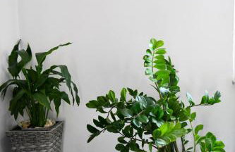 Apartman Katja - Foto 32