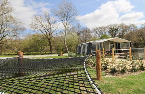 The Kingfisher - Foto 3