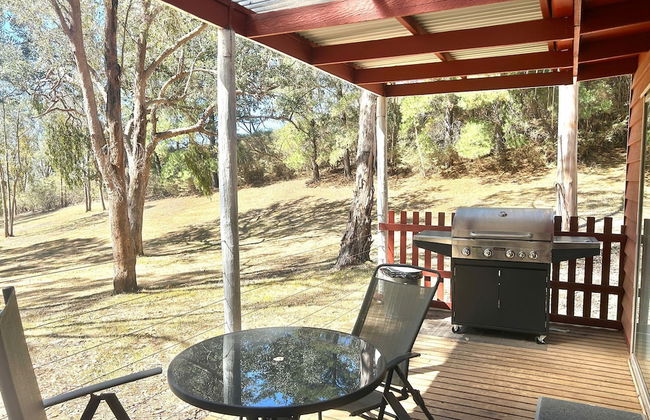 The Black Sparrow - Photo 40