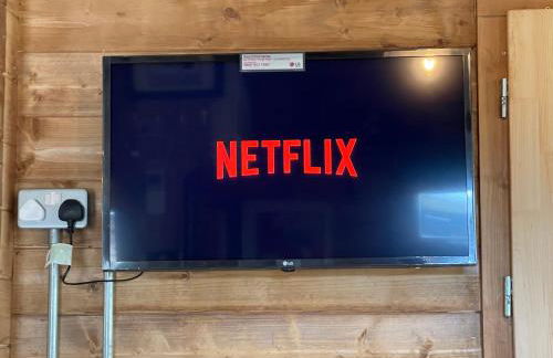 Retro Lodge nr Dartmoor with hot tub & opt sauna - Foto 19