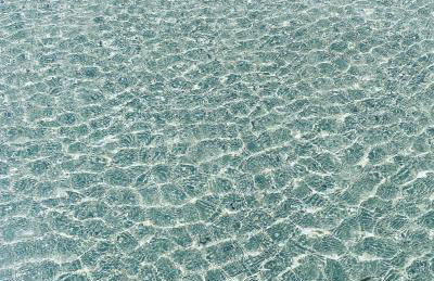 Rose house - Foto 20