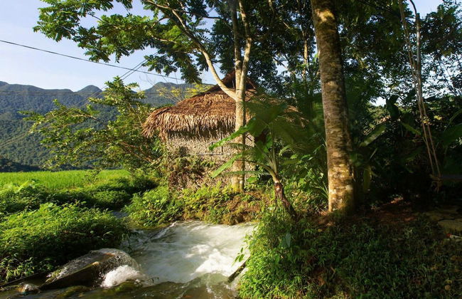 Thai House Pu Luong - Foto 60