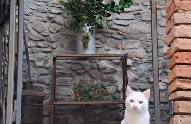 The Mandarine, Orangery Retreat - Photo 34