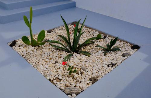 MILORA SuNSET - Foto 30