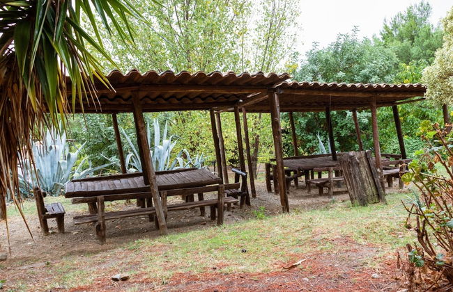 Holiday Home in Cropani Marina With Pool - Foto 28