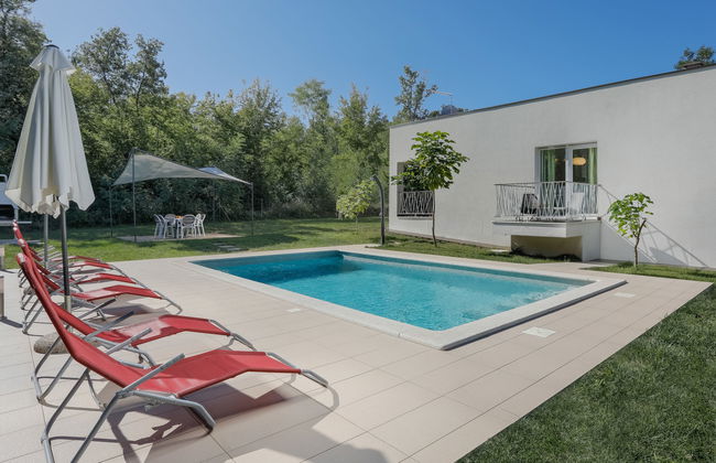 Forest Fairy - Foto 1