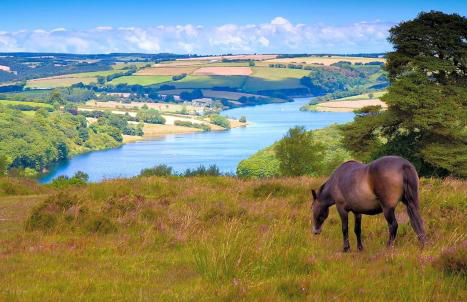 Idyllic countryside cabin with stream and lake - Foto 7