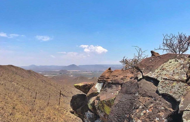 Excursion œnologique au coucher du soleil dans le Cerro Colorado - Photo 7