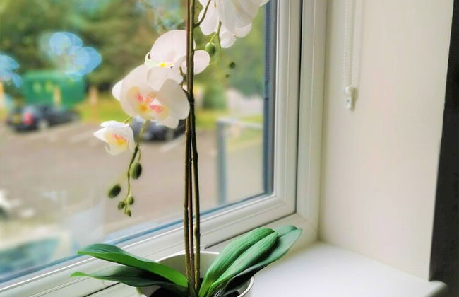 New Apartment - Foto 21