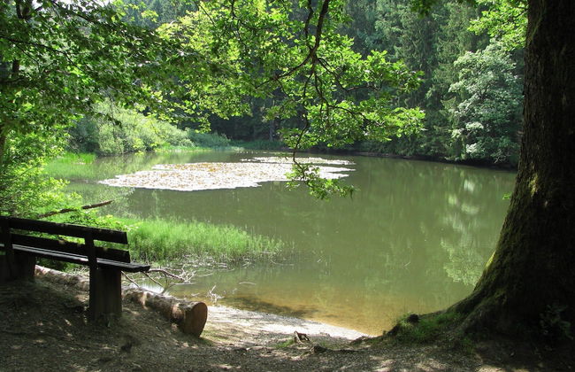 Naturparadies Bad Laasphe - Photo 30