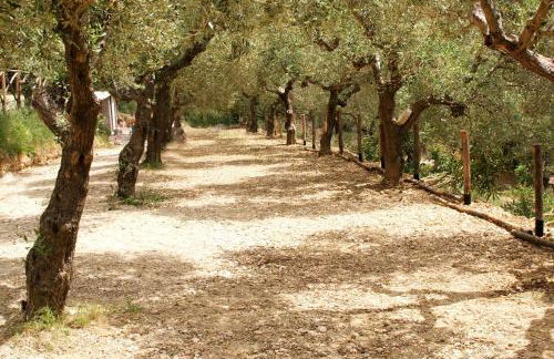 Agriturismo i Cigni - Foto 57