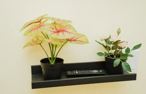 14-1- 3BR Milton -Cozy Apt near Blue Hills Museum - Foto 73