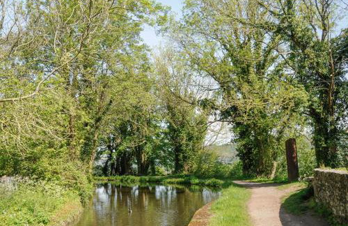 Black Cat Bach - Foto 35