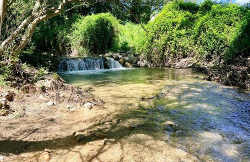 Le Vieux Moulin - Foto 8