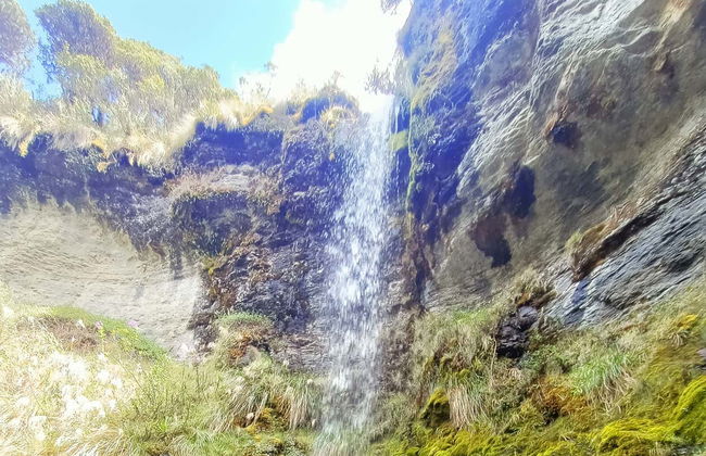 Excursion au Páramo d'Ocetá - Photo 6