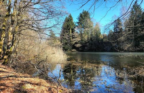 Gite les Baudy - group for 20 people - Foto 8