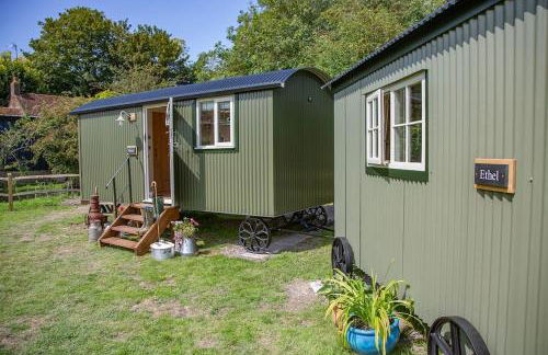 Shepherds Huts Tansy & Ethel in rural Sussex - Foto 18