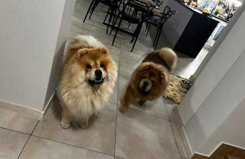 Willa w Brzozach Sznurki Spokojna 1 - Chmielno, Kaszuby, dom, jezioro - Foto 13