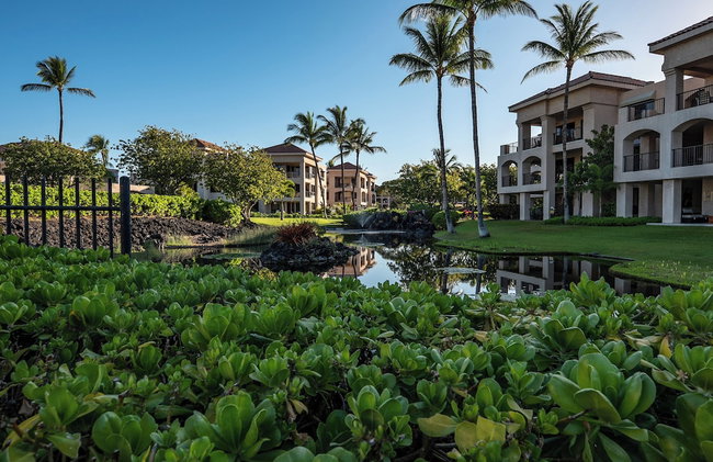 Aston Shores at Waikoloa - Photo 105