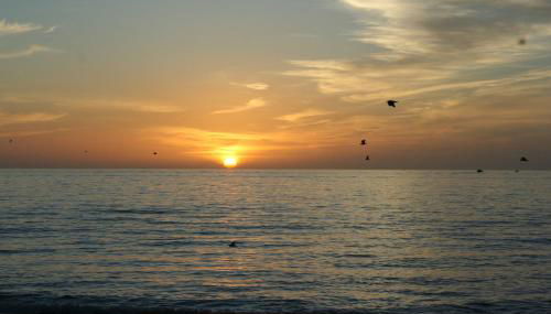 Kleines Studio Eisvogel - Photo 3