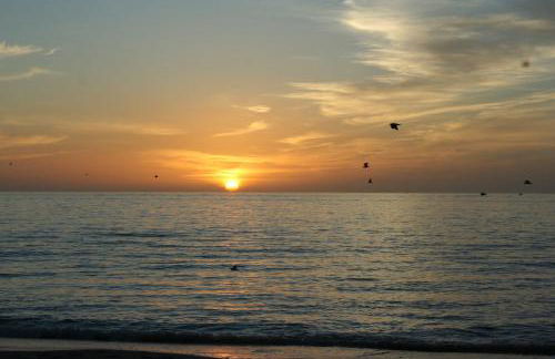 Kleines Studio Eisvogel - Photo 3