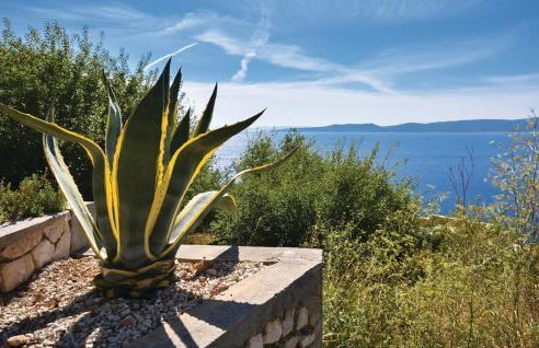 Villa Anči - Foto 29