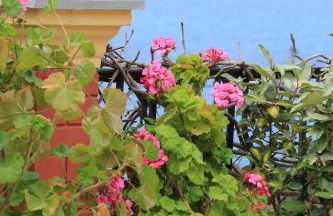 Villa Aris - Photo 35