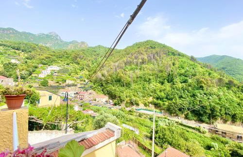 Joshua Home - Foto 26