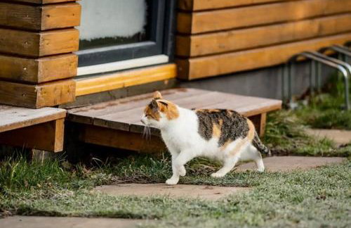 Domek w Dębowym Gaju - Foto 33