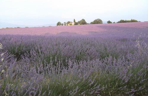 L' ensoleilladou - Foto 43