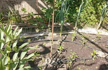 Casinha da Horta com Jacuzzi - Foto 30