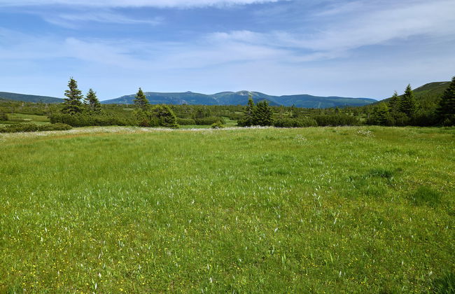 Horní Mísečky - Foto 49