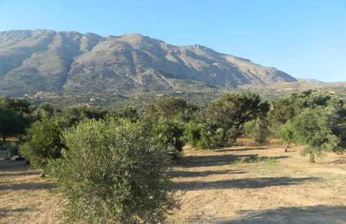 Maria Place - Foto 23