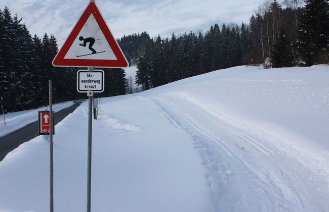 Spacious Holiday Home in Neureichenau-schimmelbach - Foto 22