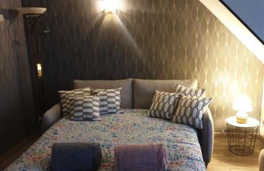 chez Émile côté face maison entière, 3 chambres, 2 salles de bains,jardin et terrasse - Foto 12