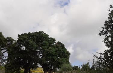 Casa azul & blanca - Foto 25