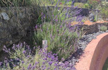 Le Havre de Paix - Foto 49