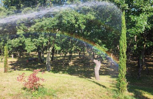 Holiday house with a swimming pool Poljica, Zadar - 24133 - Foto 9